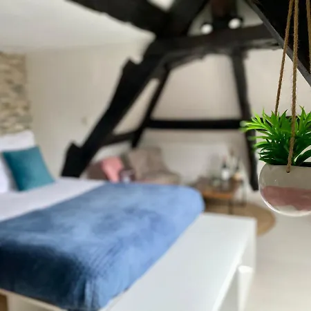 Mon Saint-martin - Appart’hotel - Cœur De